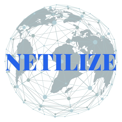 Netilize Logo
